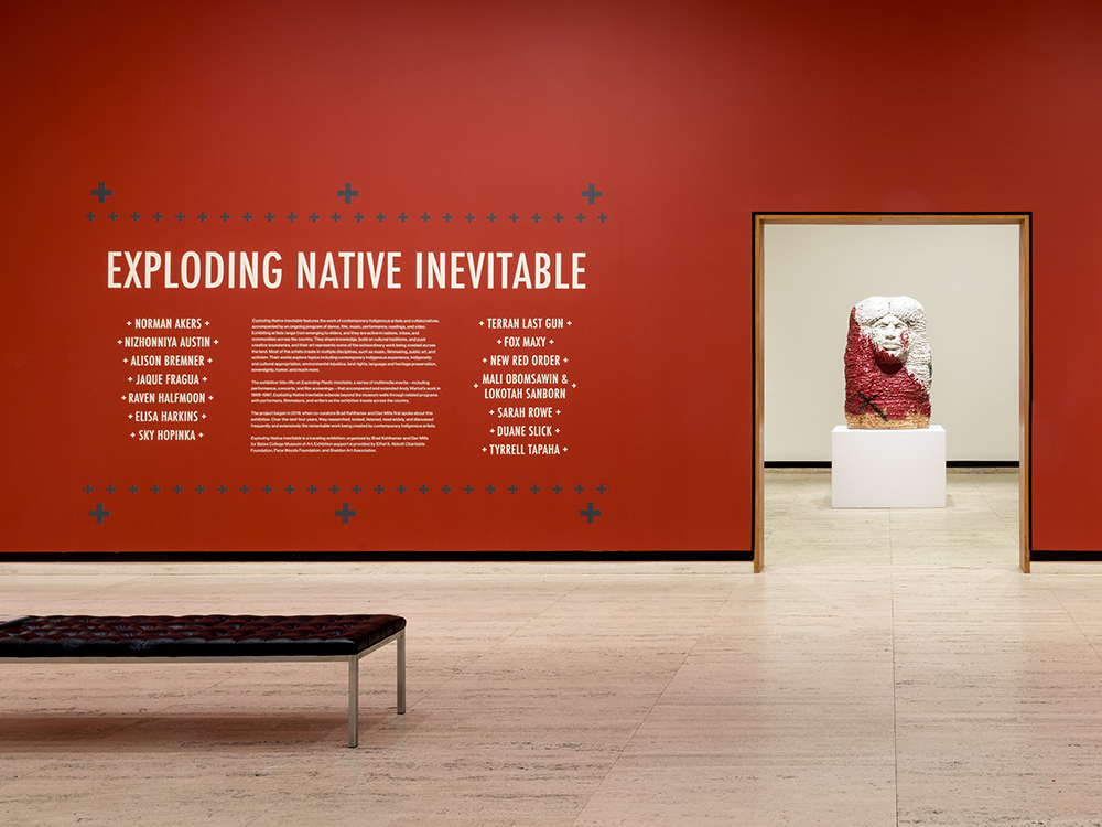 Introductory wall for Exploding Native Inevitable.